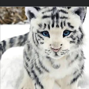 Meet your Posher, Elizabeth